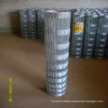 China Manufacturer Galvanised Hinge Joint Fencing for Farm